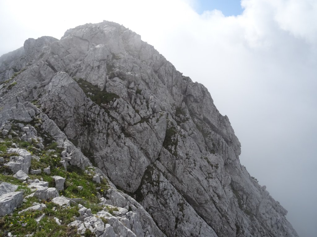 limberkasmer17.jpg