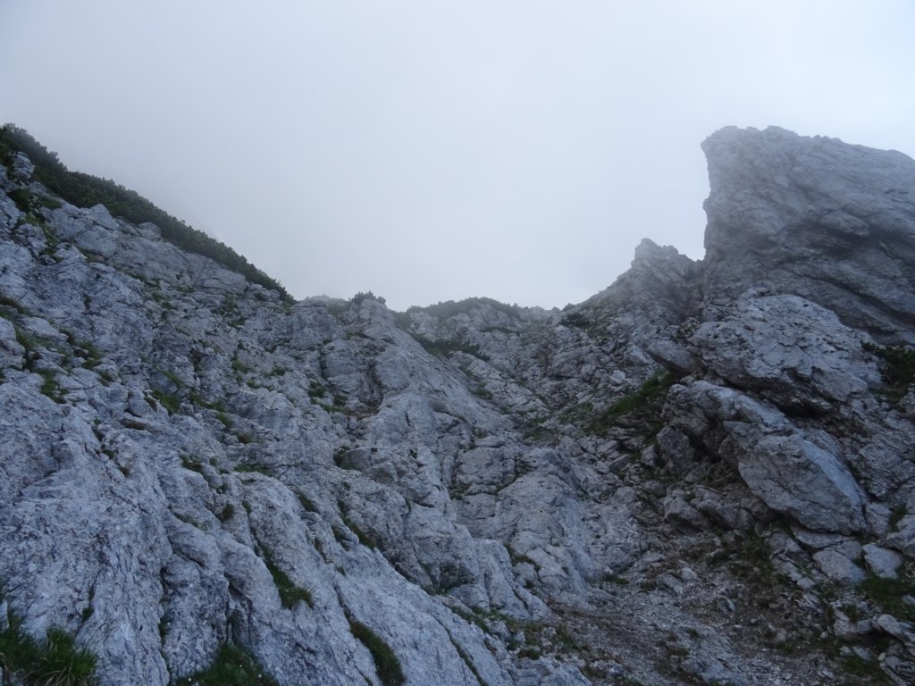 limberkasmer8.jpg
