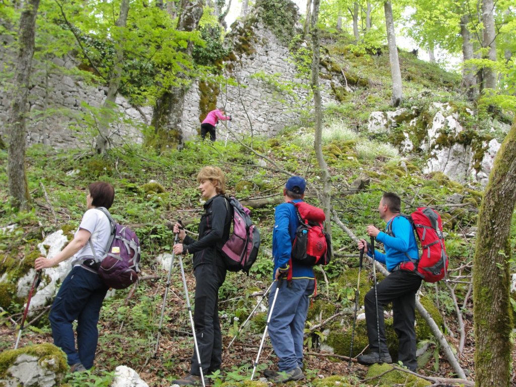limberk11.jpg