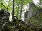 limberk12_small.jpg
