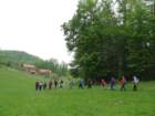 limberk18_small.jpg