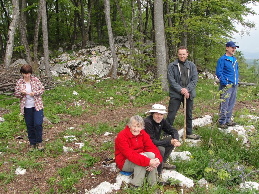 limberk29.jpg