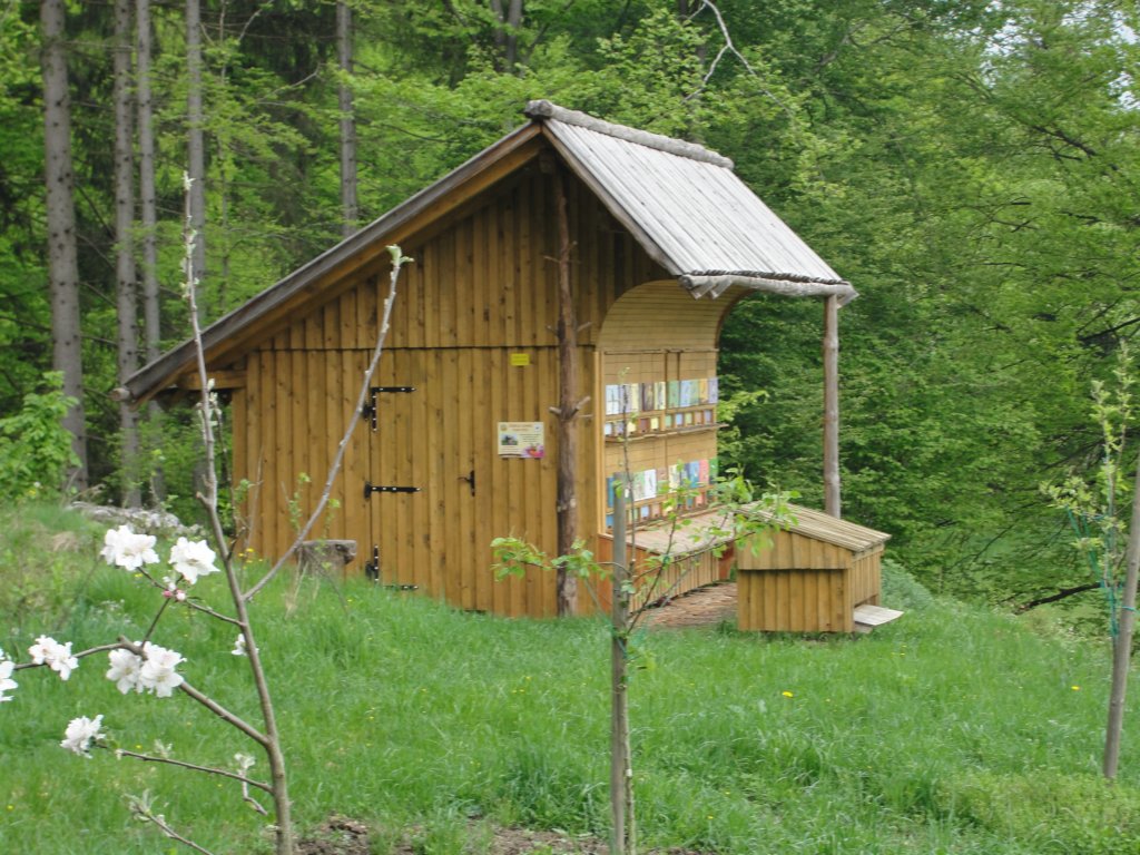 limberk41.jpg