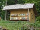 limberk51_small.jpg