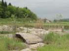 limberk54_small.jpg