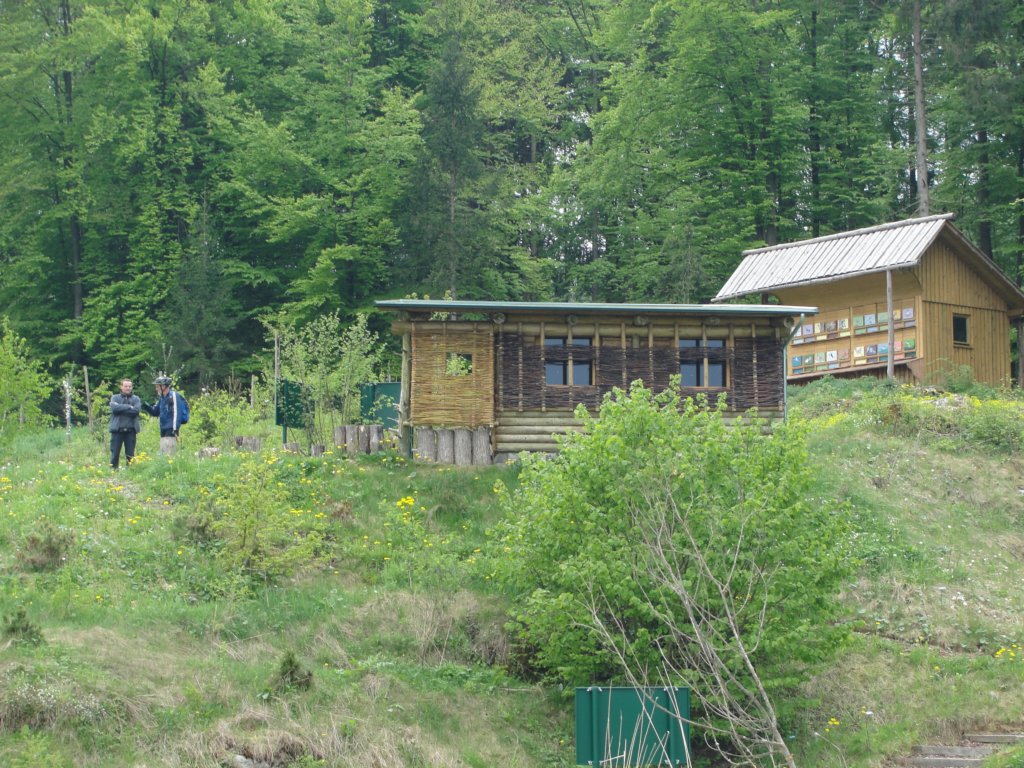 limberk55.jpg