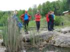 limberk56_small.jpg