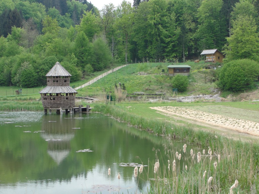 limberk61.jpg