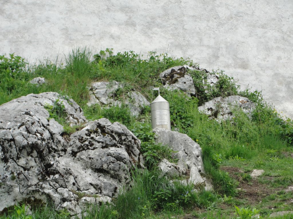limberk68.jpg