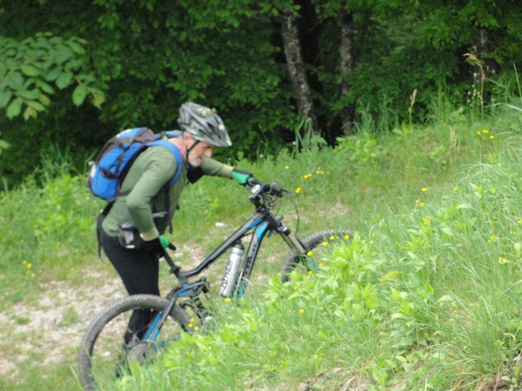 limberk73.jpg