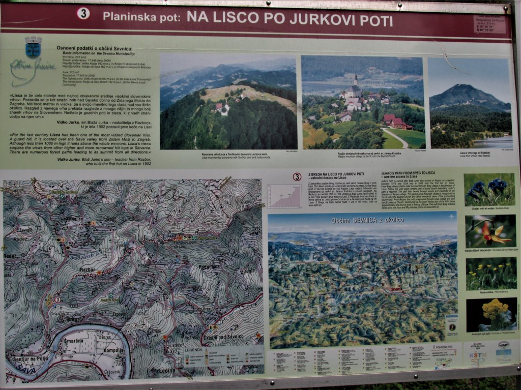 lisca20191.jpg