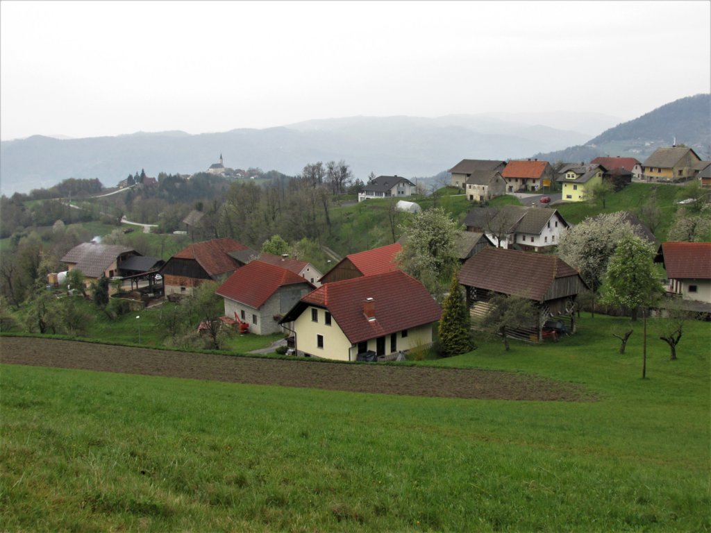 lisca20195.jpg