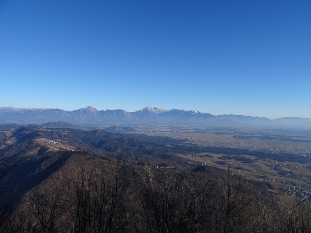 lubnik20.jpg