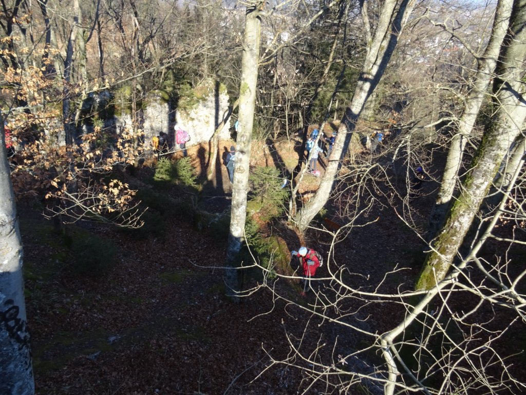 lubnik35.jpg