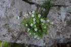 matajur202410_small.jpg