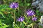 matajur202448_small.jpg