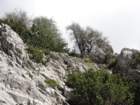 kocbekovopriznanje201228_small.jpg