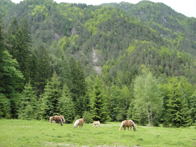 kocbekovopriznanje201243.jpg