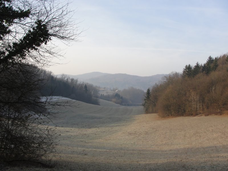 medvedjek12.jpg