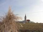 medvedjek33_small.jpg