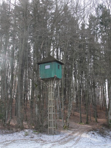 medvedjek47.jpg