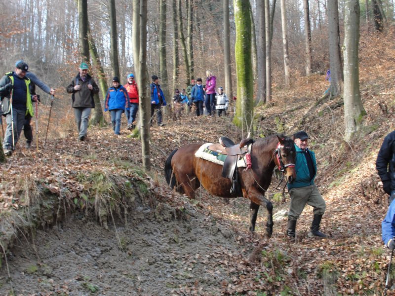 medvedjek53.jpg