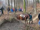 medvedjek53_small.jpg