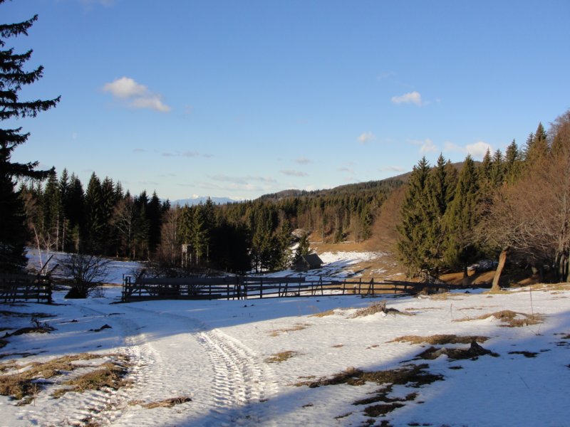 meninaplanina7.jpg
