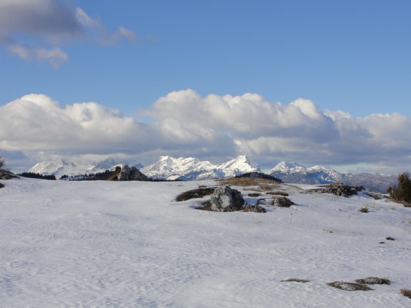 meninaplanina80.jpg