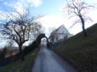 brnica15_small.jpg