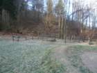 brnica5_small.jpg