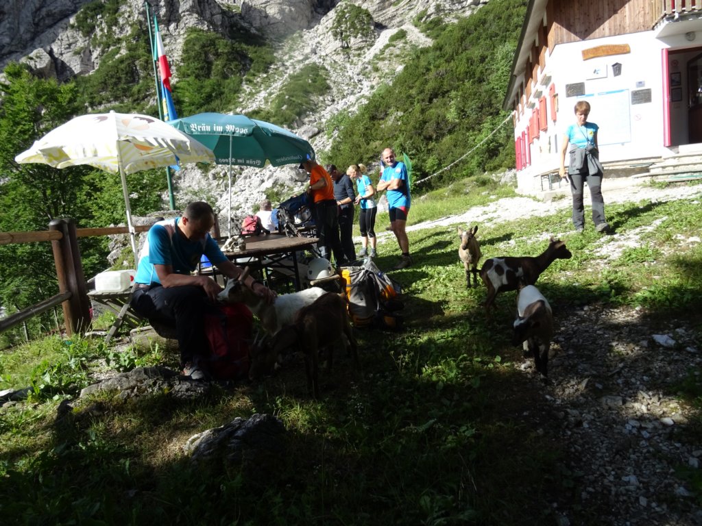 montesernio12.jpg