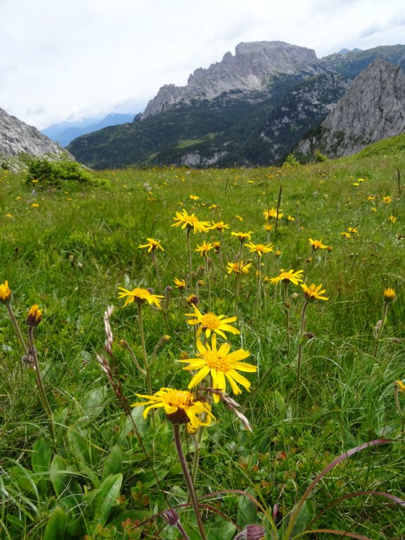 montezermula100.jpg
