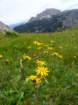 montezermula100_small.jpg