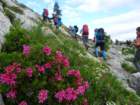 montezermula10_small.jpg