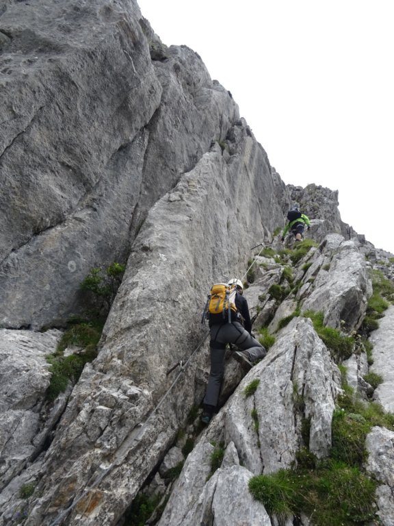 montezermula115.jpg