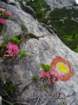 montezermula120_small.jpg