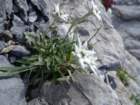 montezermula25_small.jpg