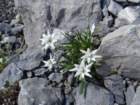 montezermula26_small.jpg