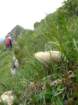 montezermula59_small.jpg