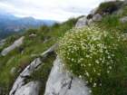 montezermula65_small.jpg