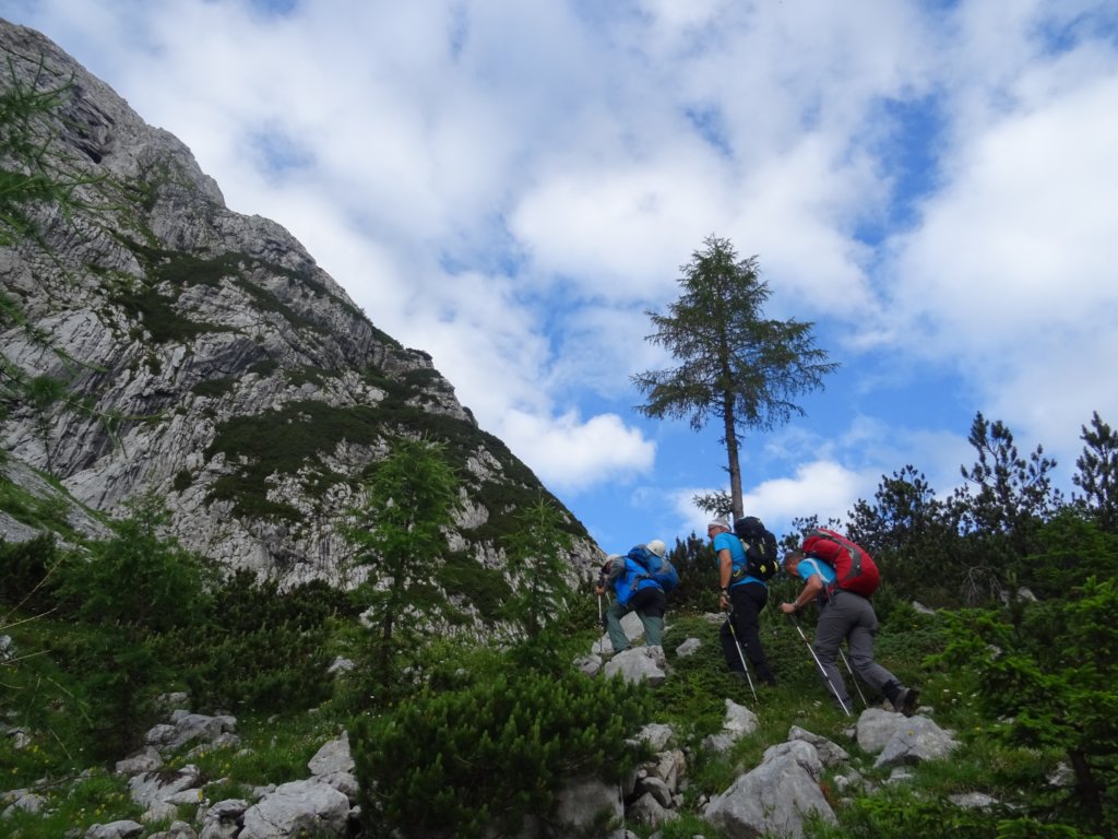 montezermula7.jpg