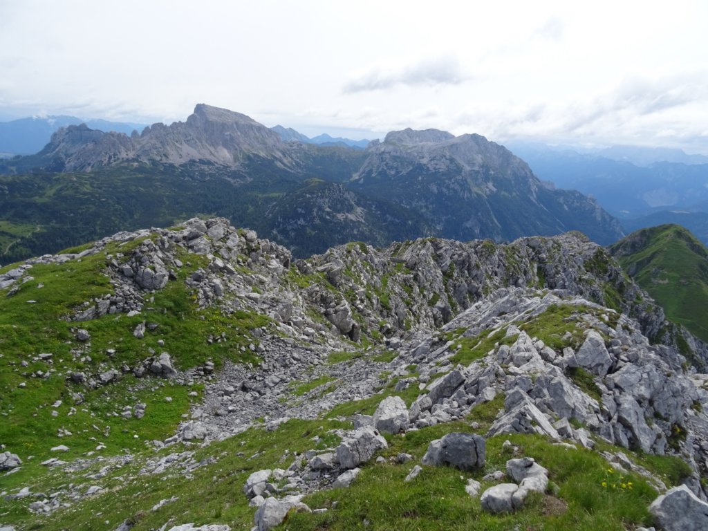 montezermula88.jpg
