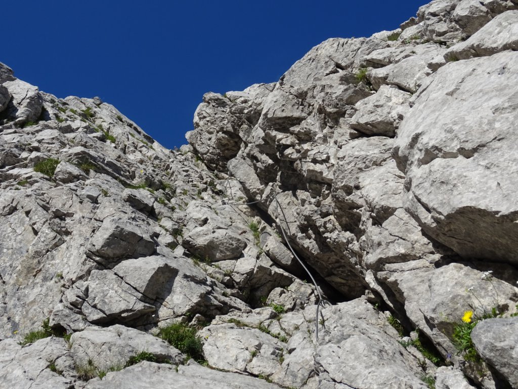 montezermula11.jpg