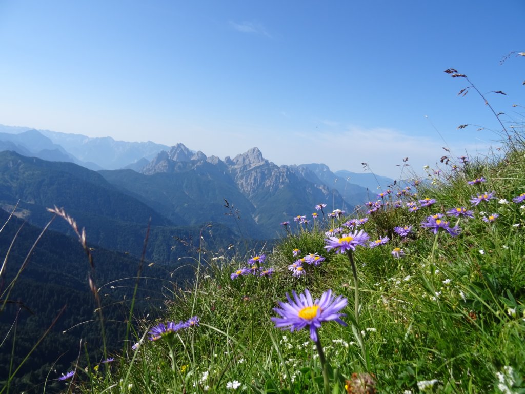 montezermula43.jpg
