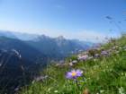 montezermula43_small.jpg