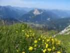 montezermula45_small.jpg