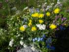 montezermula49_small.jpg