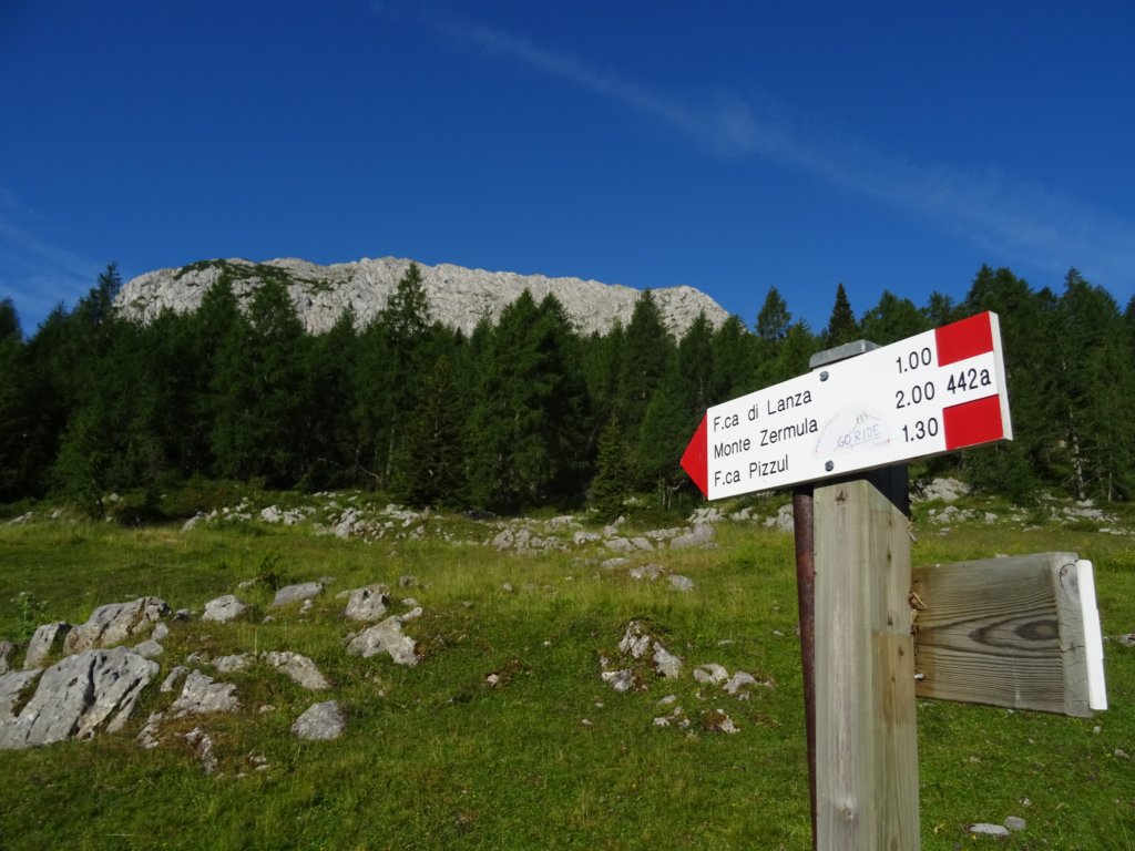 montezermula5.jpg