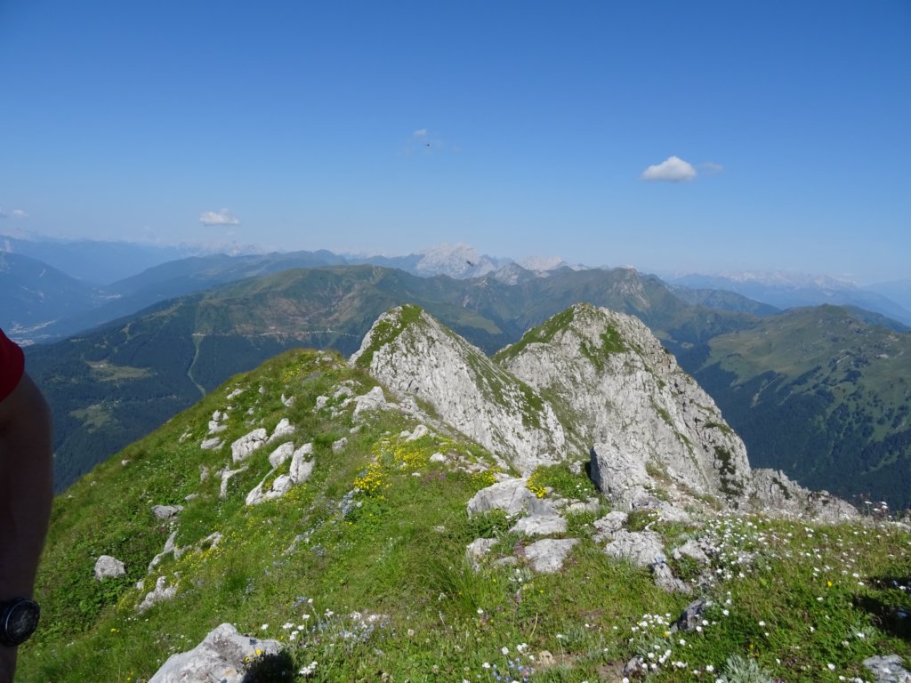 montezermula50.jpg